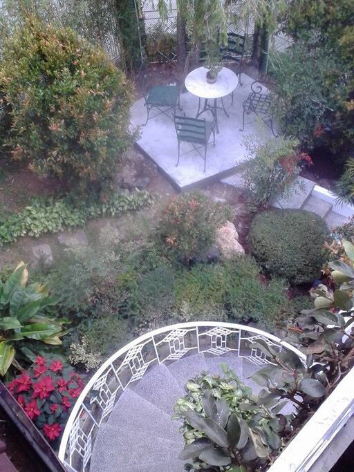 the garden