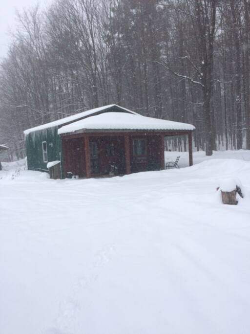 This past year was a winter wonderland on the farm! The Alpaca Lodge after a nightfall of snow! Come snow shoe in our woodlands!