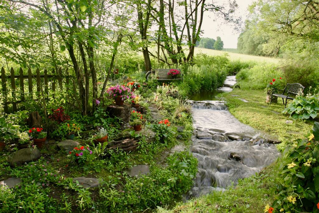 Flowing stream only steps from the back door.