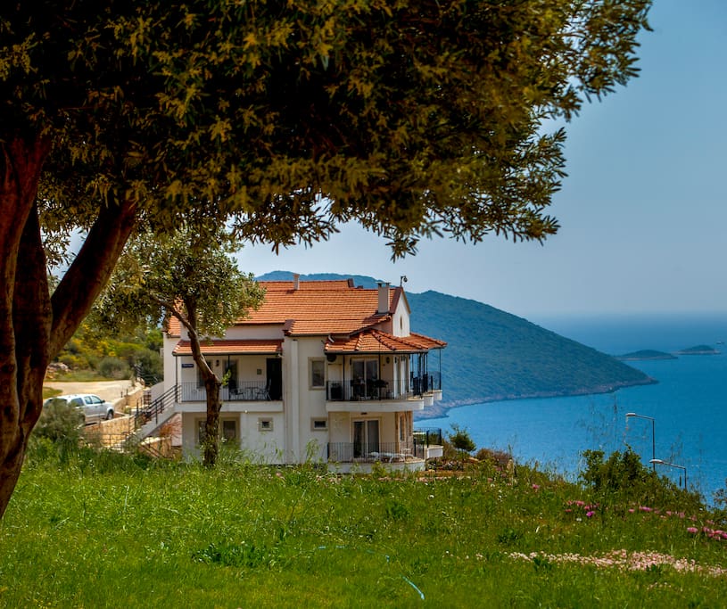 Lemon House