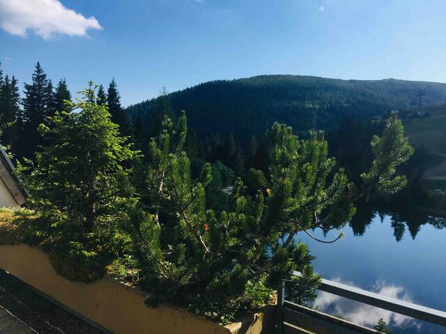 Apartment Lachtal