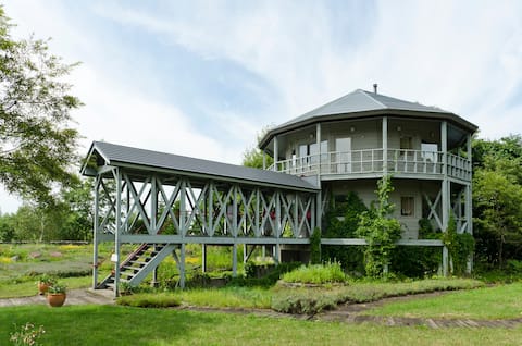 Cozy and spacious Niseko home