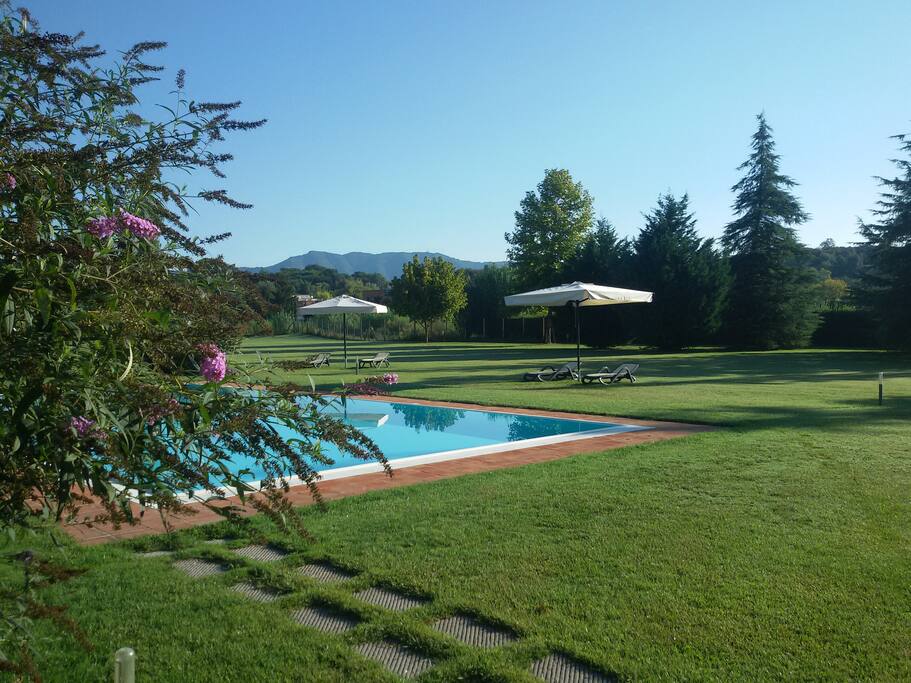 The pool