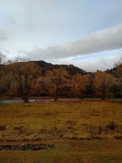 View of Roaring Fork River