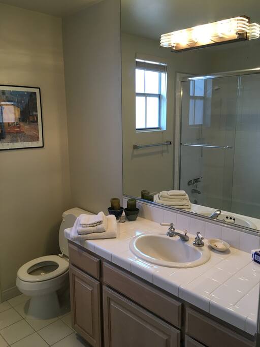 All new Pristine clean bath with new fixtures, shower door...