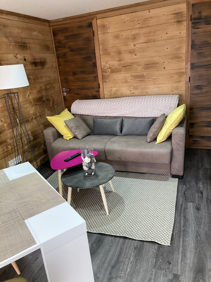 F1bis Style Chalet «&nbsp;Le Minus&nbsp;»5mn Centre Ville - Gérardmer