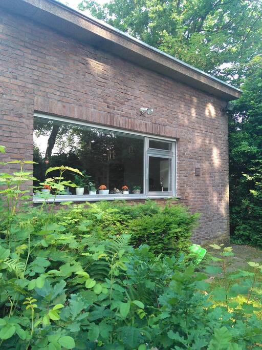 One side by our house