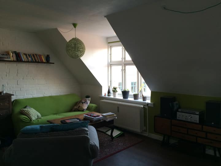 Sala de estar/1 - La sala de estar luminosa y espaciosa