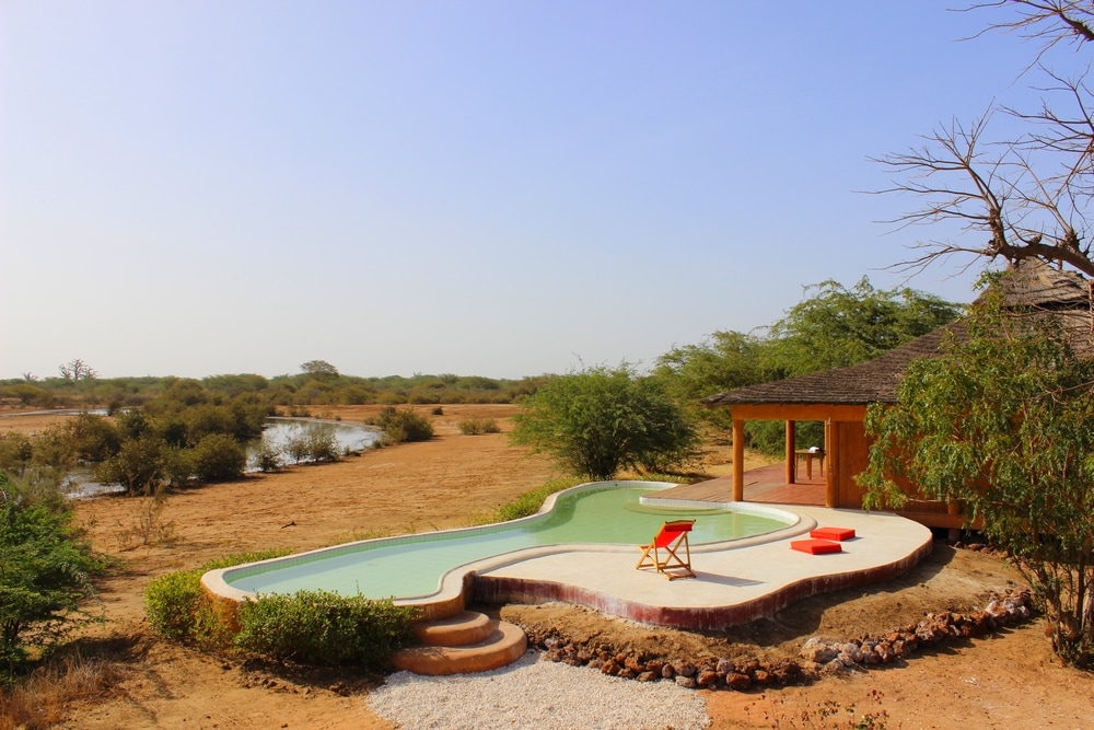 A refreshing lagoon-style swimming pool is surrounded by natural landscaping and offers a view of the savannah. Comfortable chairs are positioned near the pool, inviting relaxation. The distant scenery features sparse vegetation and a winding waterway, enhancing the natural setting.