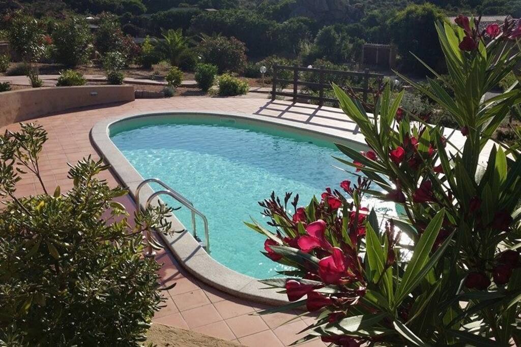 SHARED POOL BY 6 VILLAS