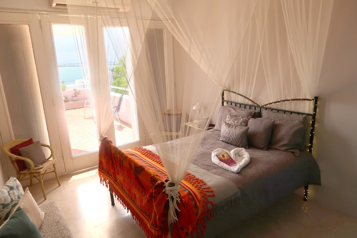 מאסטר סוויטה