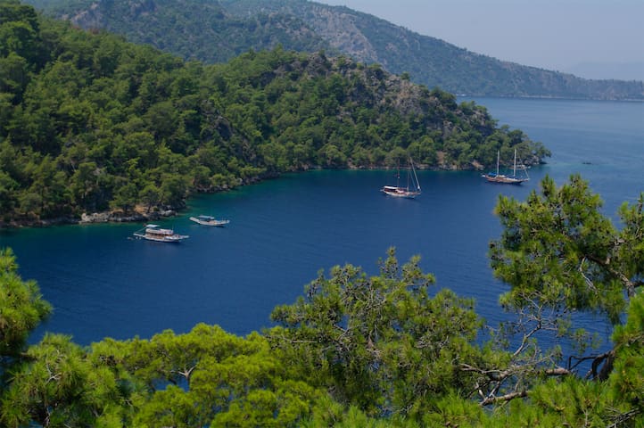 Serenity:Turquoise Coast Melissa