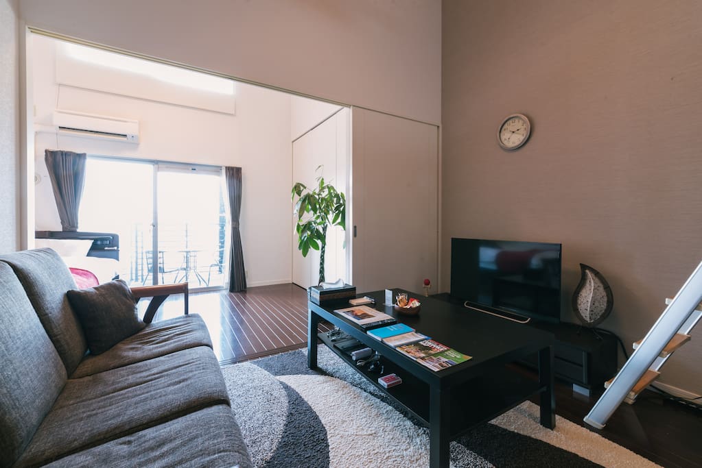 Over View of the Apartment!! Very Spacious and Cozy!! You Will Like It!!