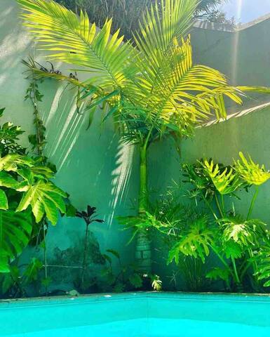 Liberdade Art, Garden & Private Pool gallery image 4