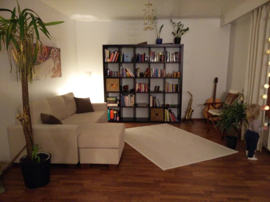 Livingroom with cozy couch and books from languages, history, education and health, to philosophy and fiction, at your disposal.