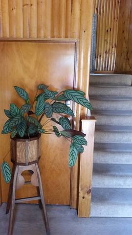 The F Project Residence – whole house gallery image 2