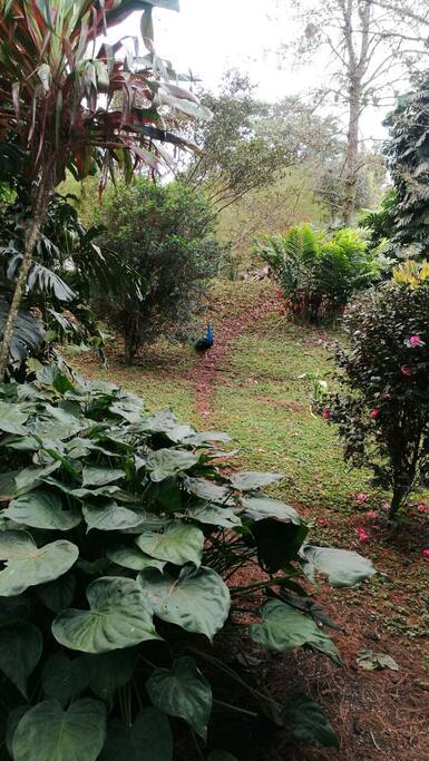 Un rincón alrededor de la casa