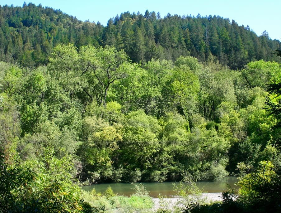 View of the Russian River and forest from the deck!