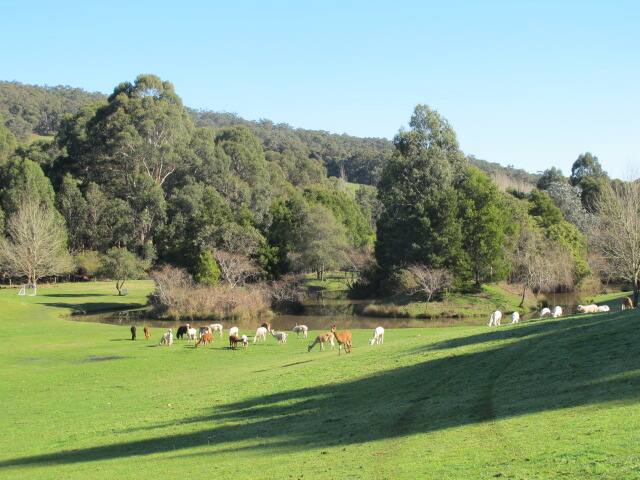 ‘The Farmhouse’ Pennyroyal VIC gallery image 5