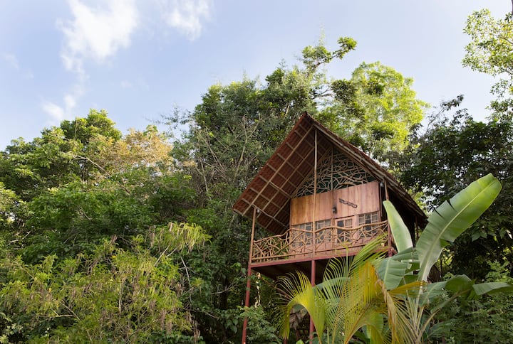 Rainforest Tree House with Hot Springs