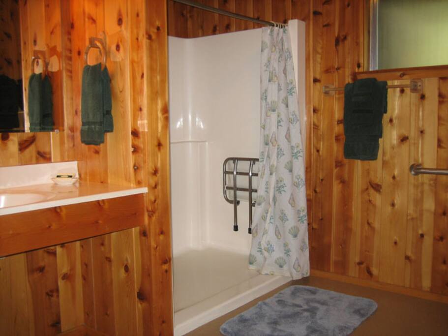 bathroom #2 with handicap friendly shower