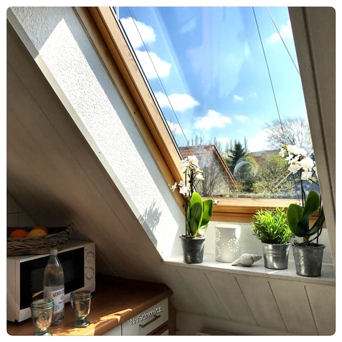 Heutige Aussicht aus dem Küchenfenster... die Sonne lacht vom Himmel...