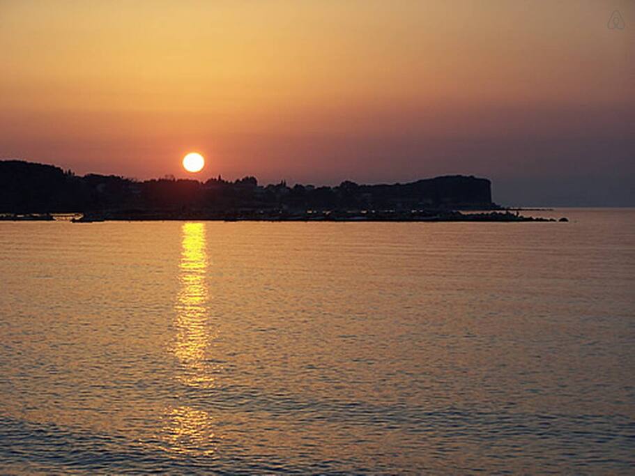 Lovely walks by the sea