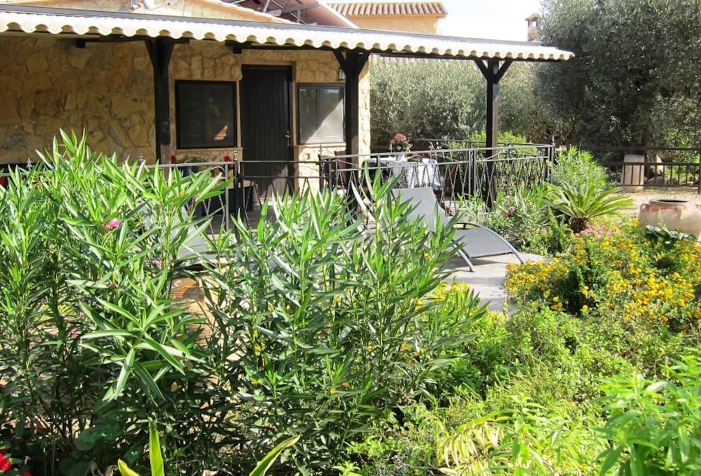 Garden and Terrace
