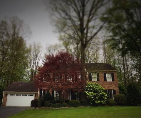 Beautiful Park Forest Home