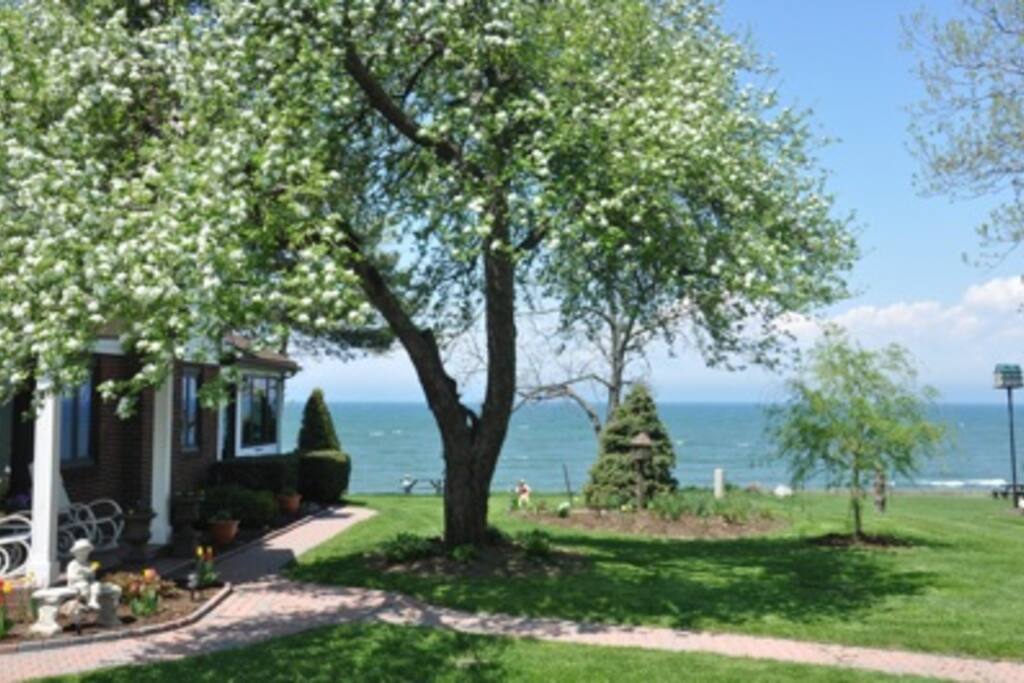 Area Grounds