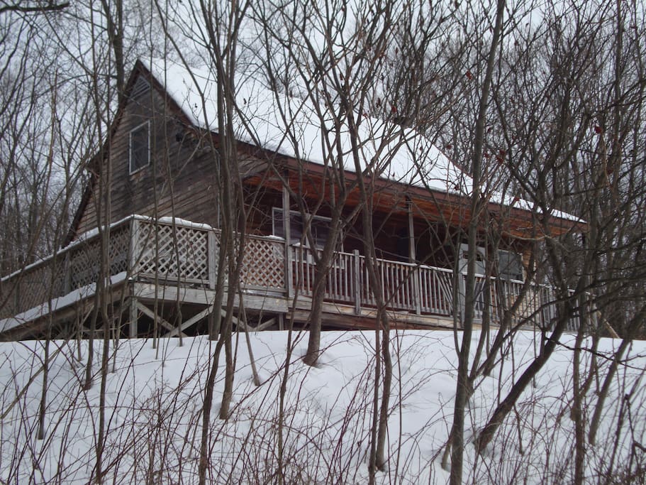 Cabin 13.8 miles from Elk Mountaindogs allowed Cabins for Rent in