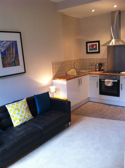Modern Edinburgh Apartment Apartments for Rent in 