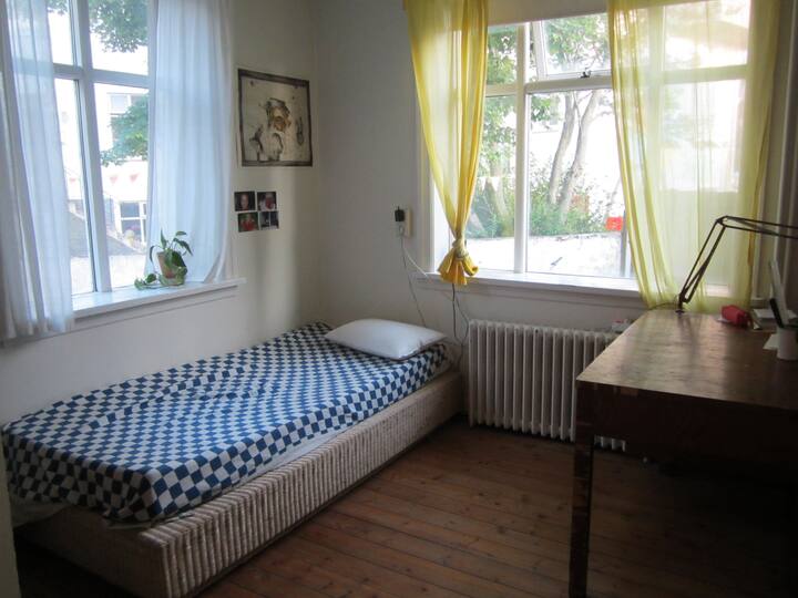 Central flat with a nice garden Apartments for Rent in Reykjavik
