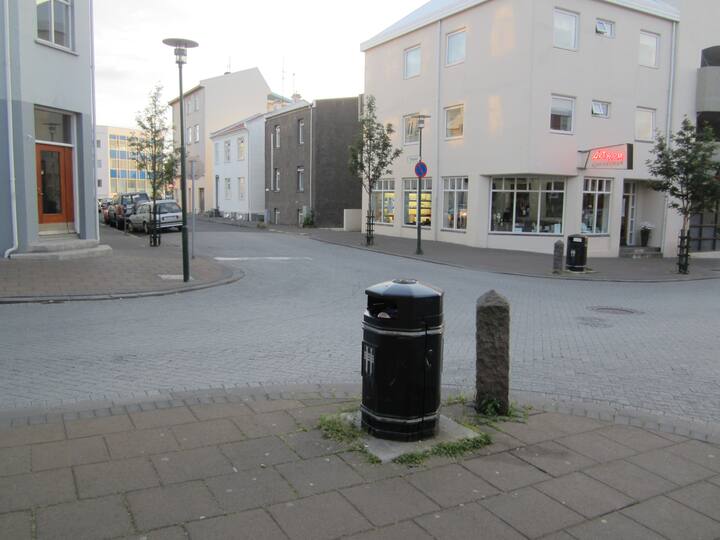 Central flat with a nice garden Apartments for Rent in Reykjavik