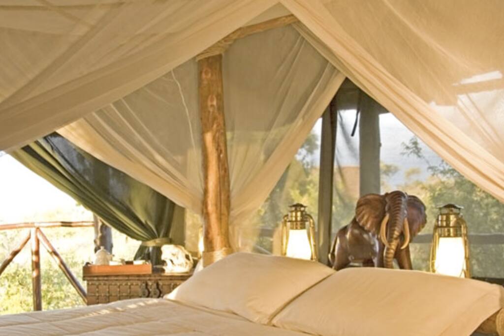 Interiors of the Tents