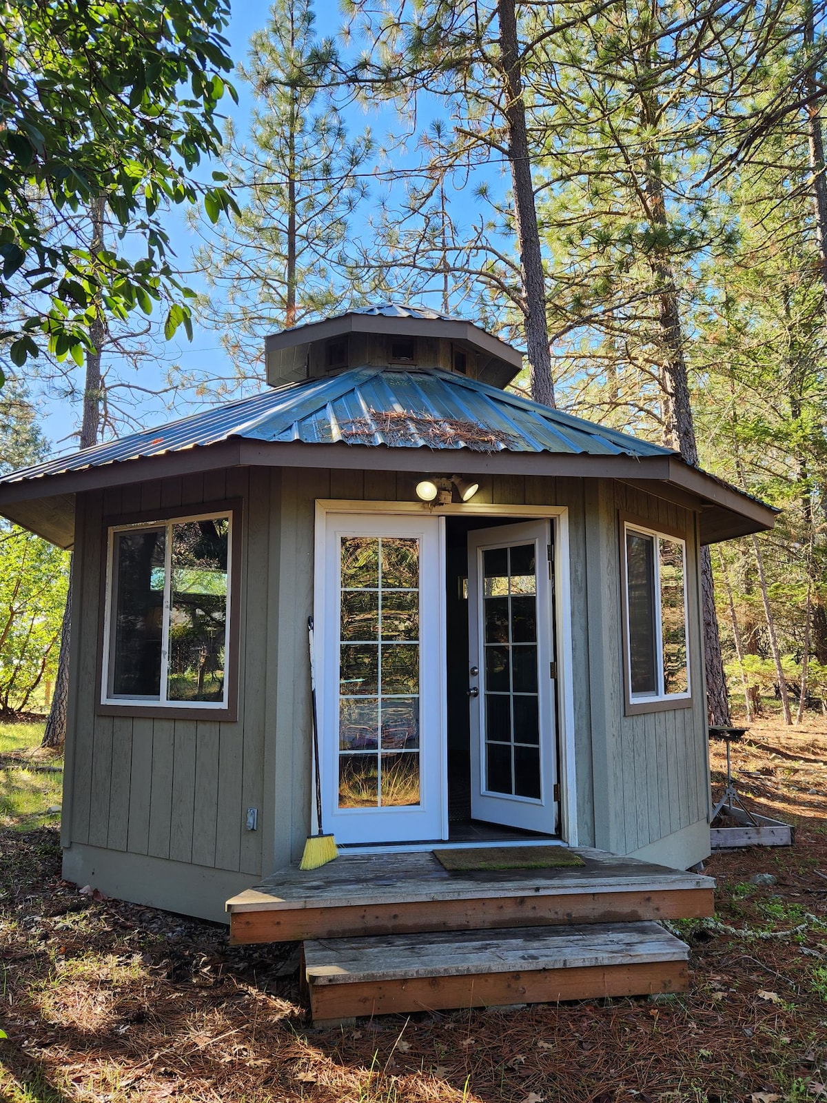 A wooden yurt featuring large windows and a distinctive metal roof stands amidst tall pine trees. The entrance has a double door with glass panels, while a small wooden deck leads up to it. Surrounding greenery provides a serene forest atmosphere.