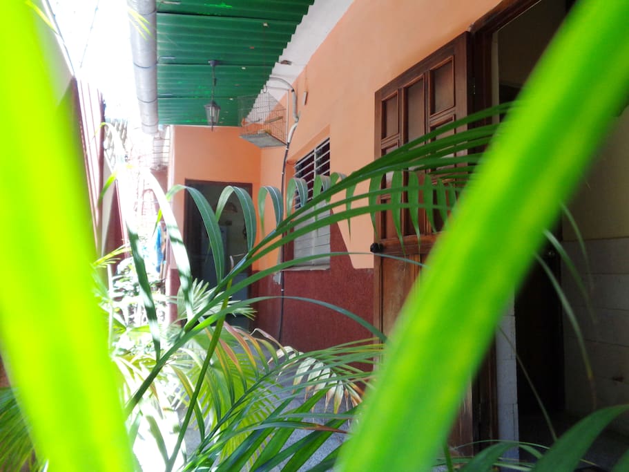 Pasillo del Hostal fiesta verde de la Naturaleza.