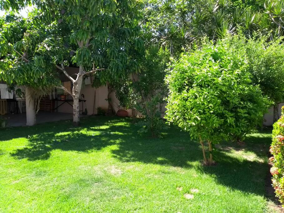 jardim próximo a piscina