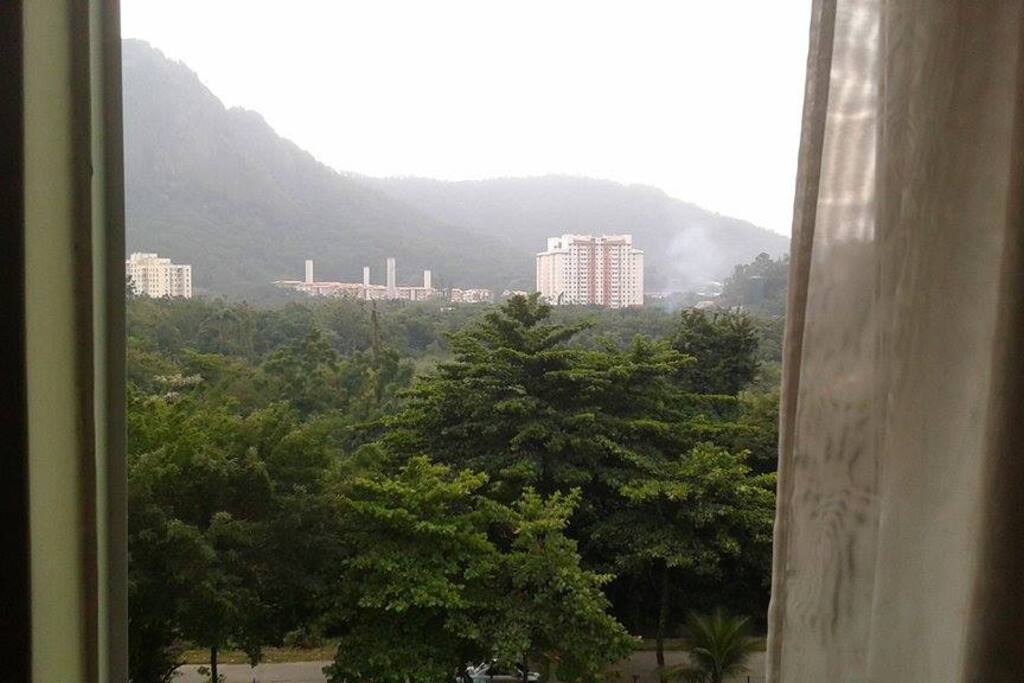 Vista da sala para a floresta do Camorim.