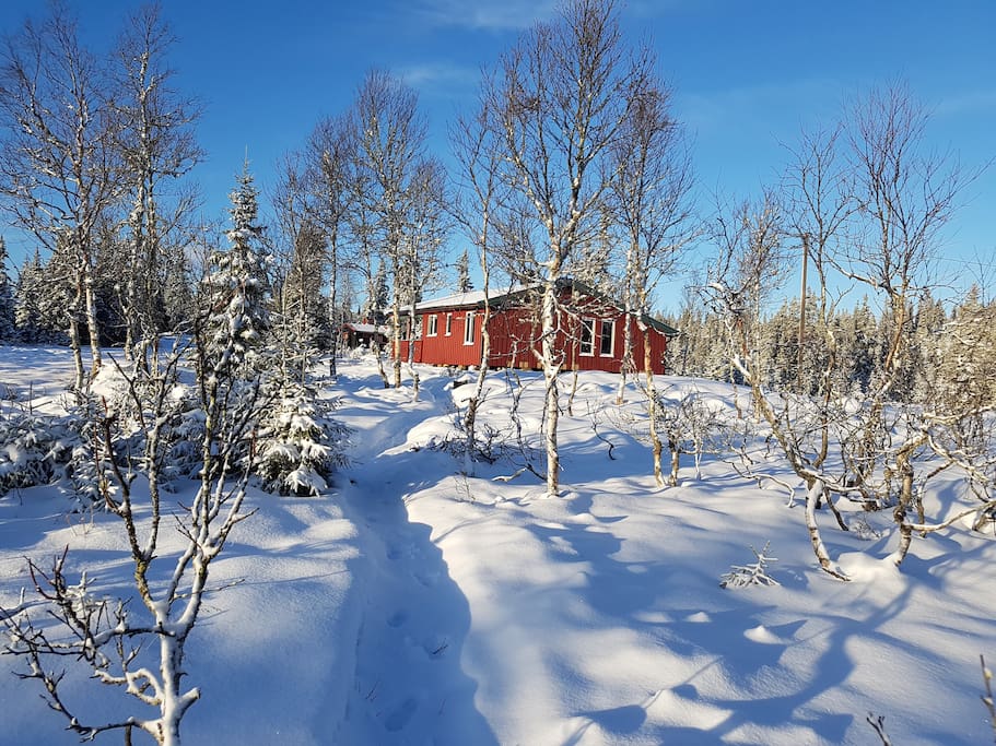 Cabin from South