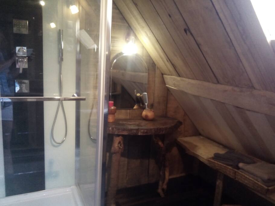 Douche et coiffeuse de la salle de bain