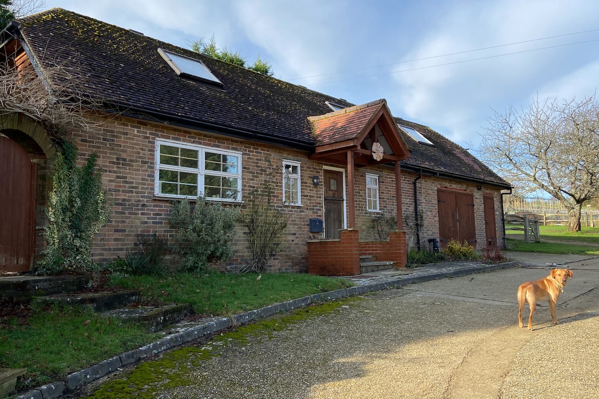 The cottage's exterior features a charming brick facade with a sloping roof. Windows allow natural light, and a welcoming entrance is highlighted by a covered porch. A gravel path leads to the driveway, where a dog stands near the well-maintained grounds, enhancing the peaceful ambiance.