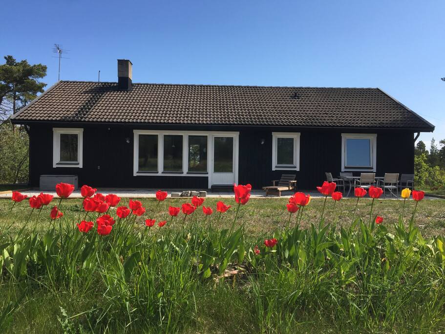 Husets baksida