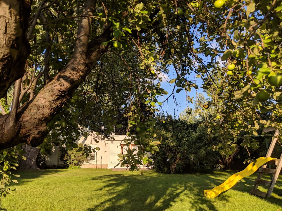 A large, green backyard is framed by a leafy tree with yellow apples. A swing set sits in the corner under dappled sunlight, while the house is visible in the background, partially obscured by lush greenery, creating a serene and private atmosphere.