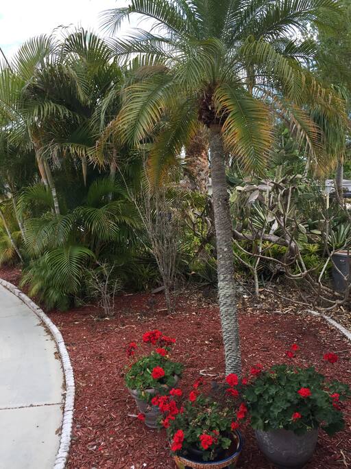 Florida!