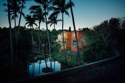 Mango Tree House