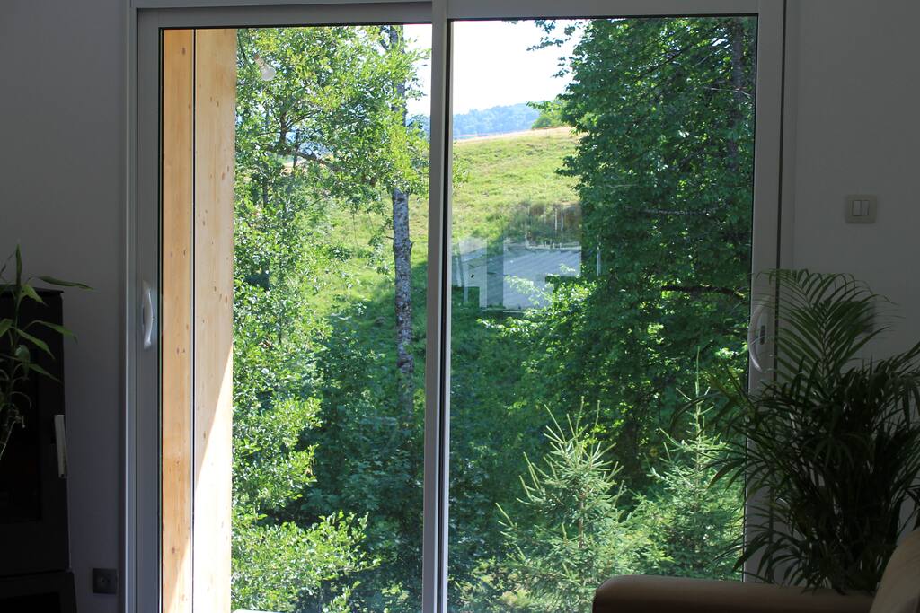Salon sans aucun vis à vis. Terrasse suspendue à venir (réalisation automne 2018)
