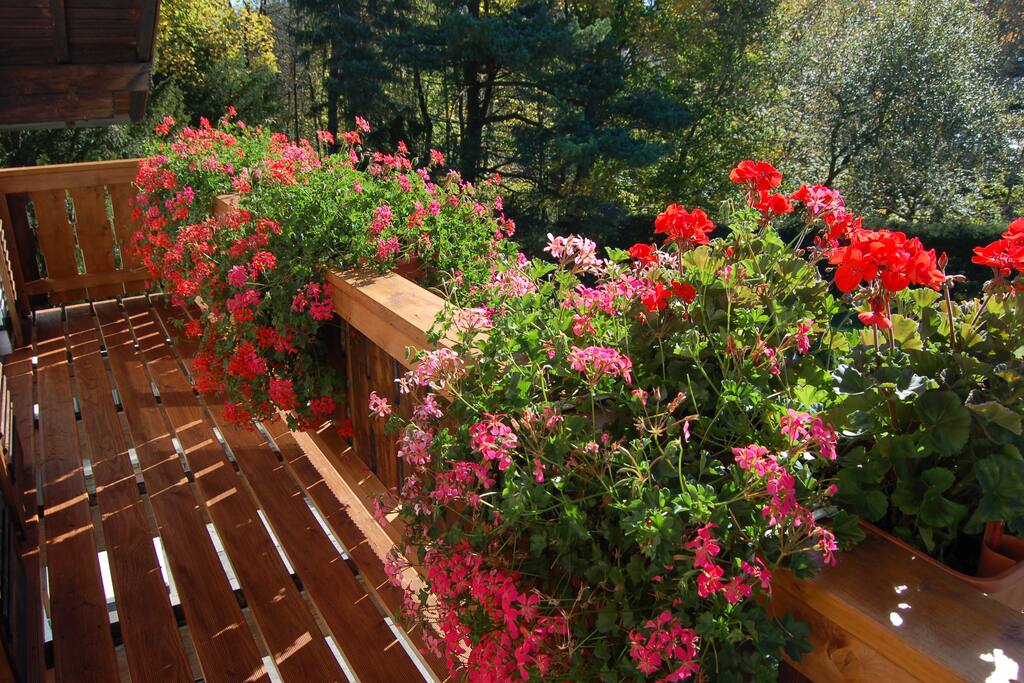 Blumen