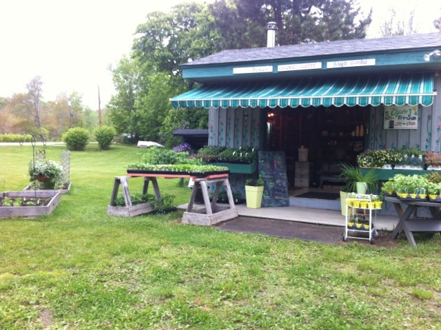 An inviting farmstand is situated in a grassy area, displaying an array of potted plants and fresh produce. The stand features a striped awning and wooden tables arranged out front. Lush greenery and trees create a serene backdrop, emphasizing the country setting.