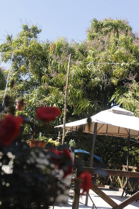 Terraza Planta Alta